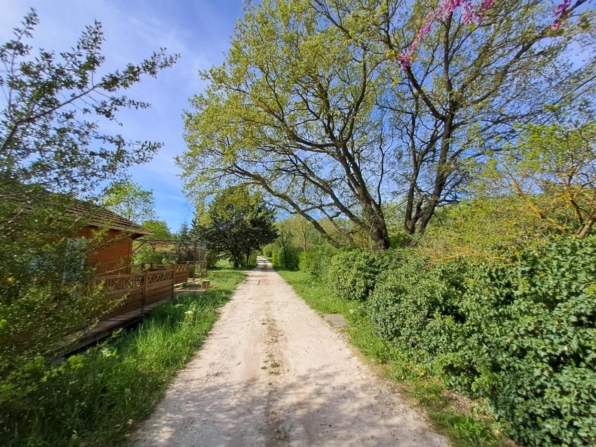 Villa Aix-En-Provence Kültér fotó